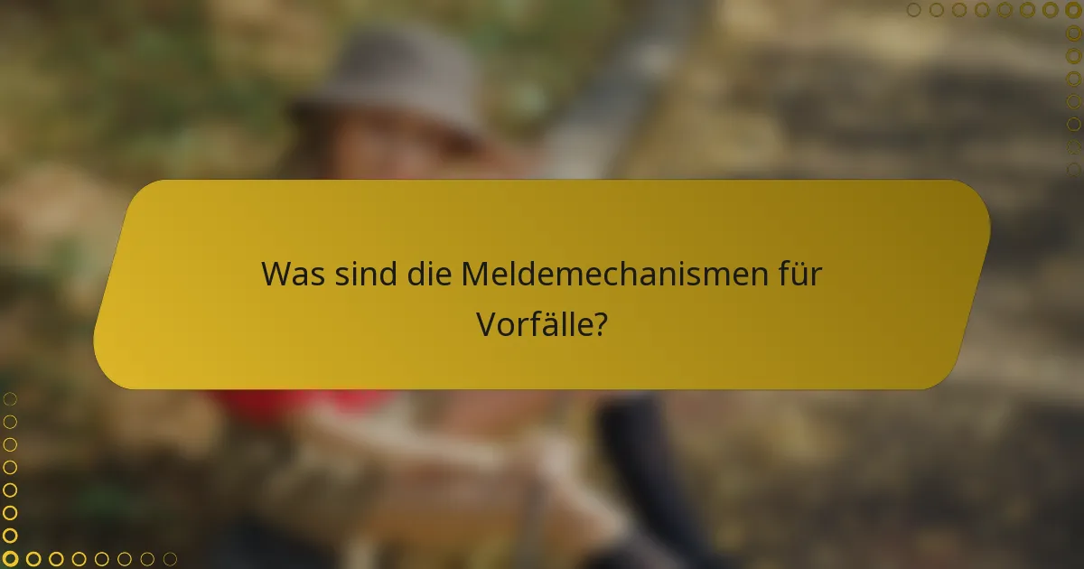 Was sind die Meldemechanismen für Vorfälle?