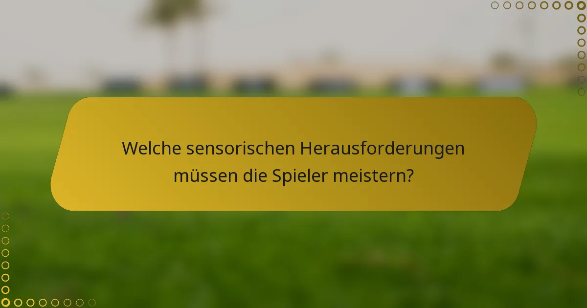 Welche sensorischen Herausforderungen müssen die Spieler meistern?